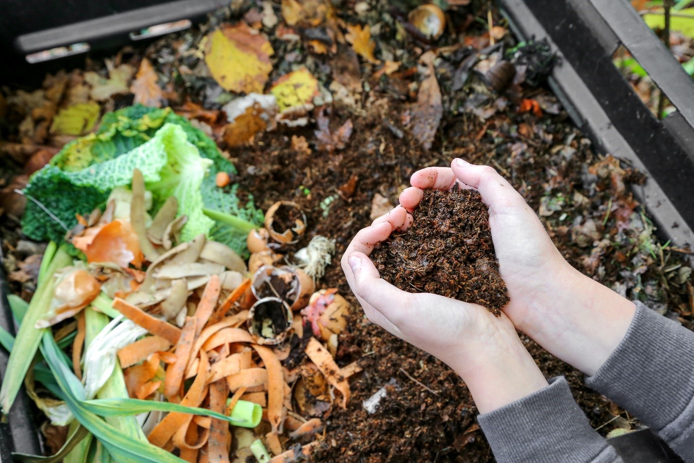 A person composting